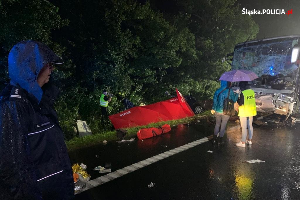 Tragedia na drodze krajowej. Zginęło ośmiu mieszkańców Podkarpacia