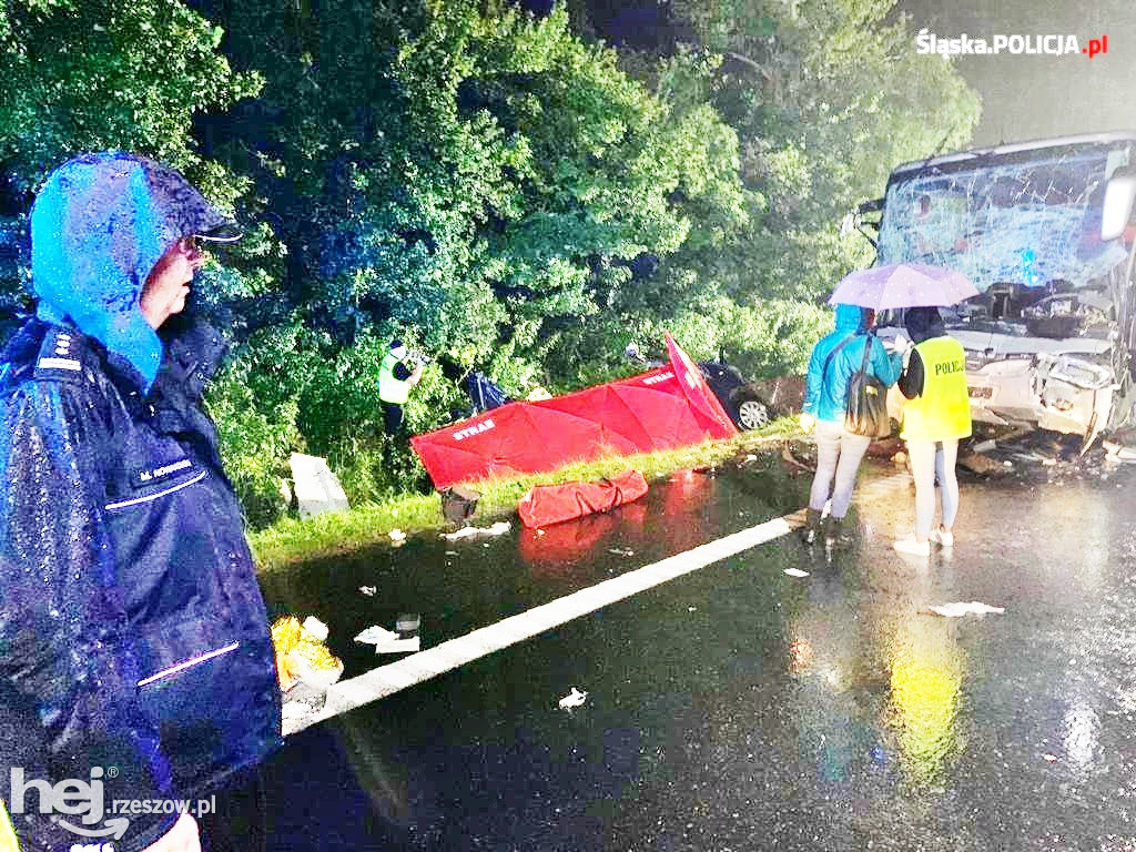 Tragedia na drodze krajowej. Zginęło ośmiu mieszkańców Podkarpacia
