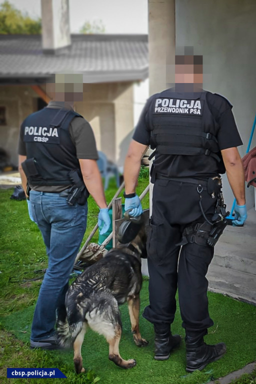 Grupa sutenerów rozbita