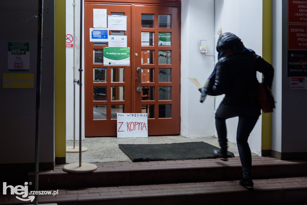 Wetlina, Lubaczów, Kolbuszowa, Rzeszów - protesty w całym regionie