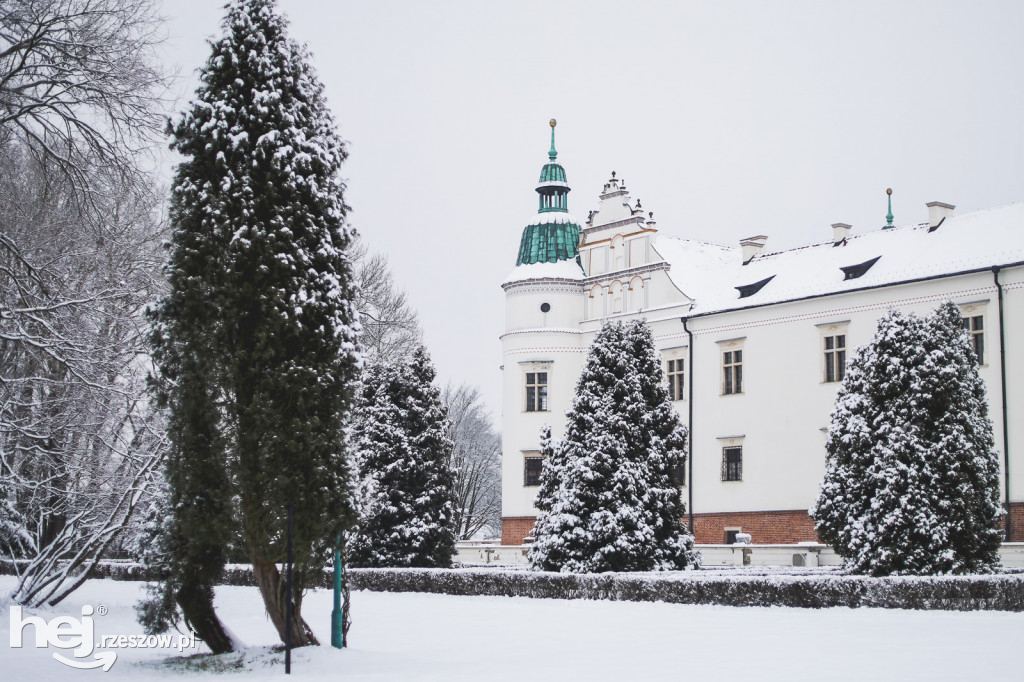 Zamek w Baranowie Sandomierskim Zimą