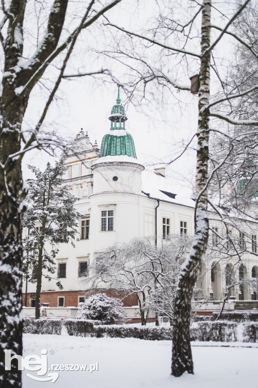 Zamek w Baranowie Sandomierskim Zimą