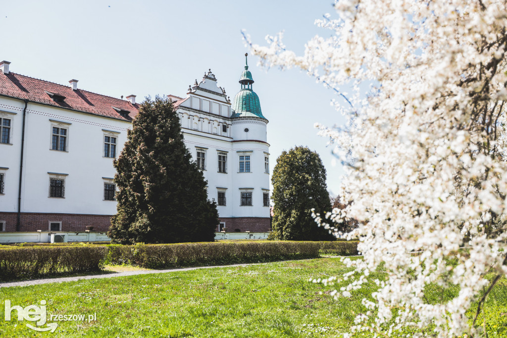 Zamek w Baranowie Sandomierskim w wiosennej odsłonie