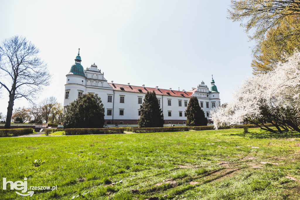 Zamek w Baranowie Sandomierskim w wiosennej odsłonie