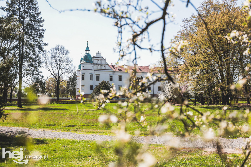 Zamek w Baranowie Sandomierskim w wiosennej odsłonie