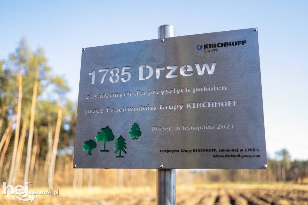Kirchhoff Polska sadzi las