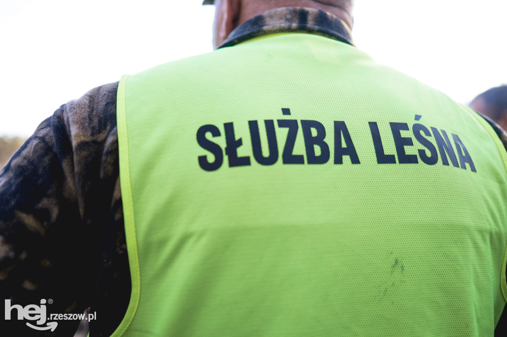 Kirchhoff Polska sadzi las