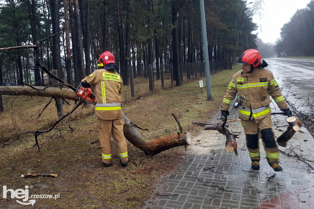 Pracowity weekend strażaków