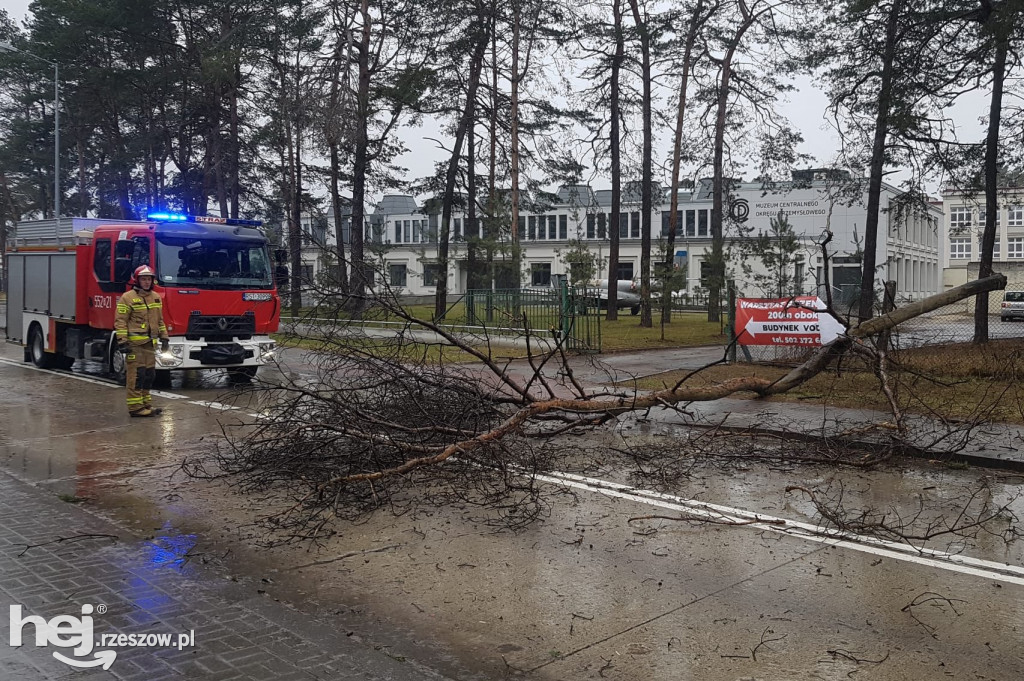 Pracowity weekend strażaków