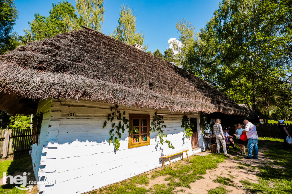 Prezentacje Twórczości Ludowej Lasowiaków i Rzeszowiaków