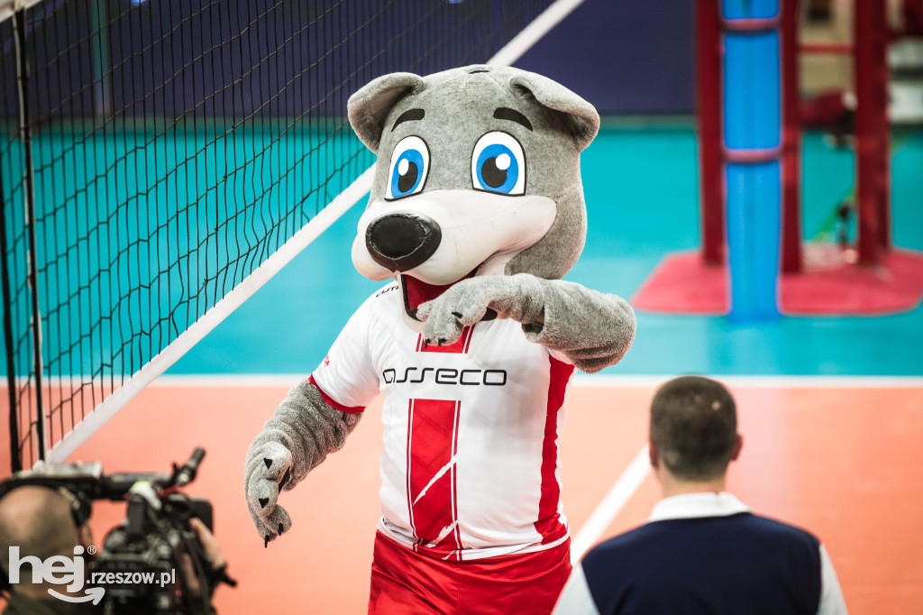 Asseco Resovia Rzeszów z Pucharem CEV