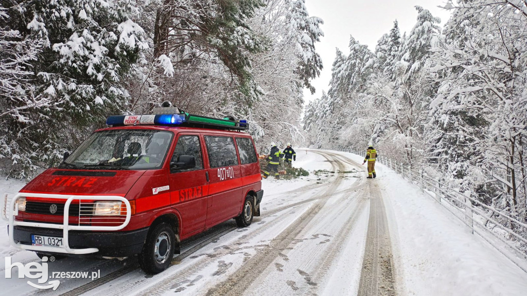 Zima w Bieszczadach: trudne warunki