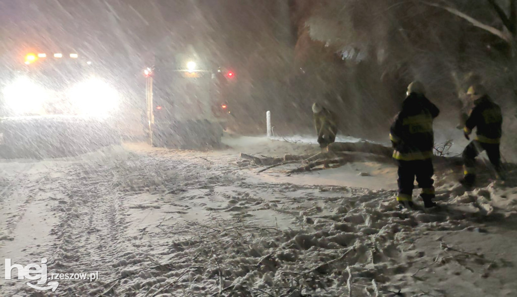 Zima w Bieszczadach: trudne warunki