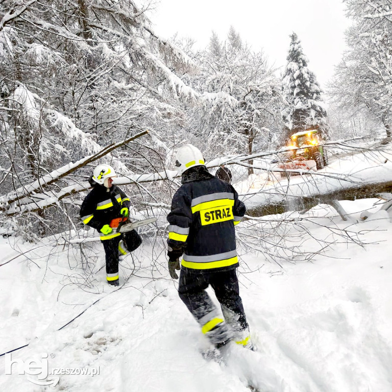 Zima w Bieszczadach: trudne warunki