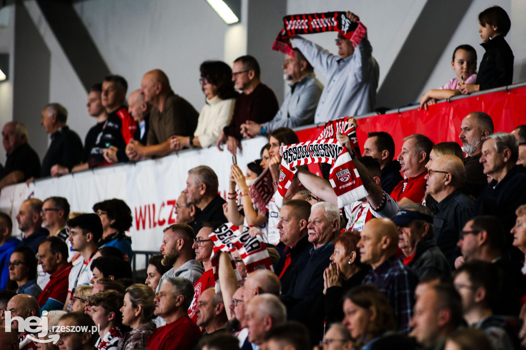 Asseco Resovia Rzeszow - Aluron CMC Warta Zawiercie