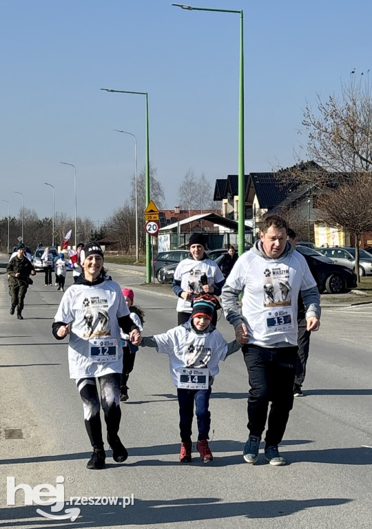 Bieg Tropem Wilczym w Sokołowie Małopolskim