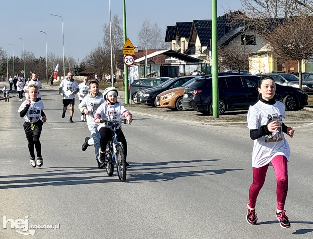 Bieg Tropem Wilczym w Sokołowie Małopolskim