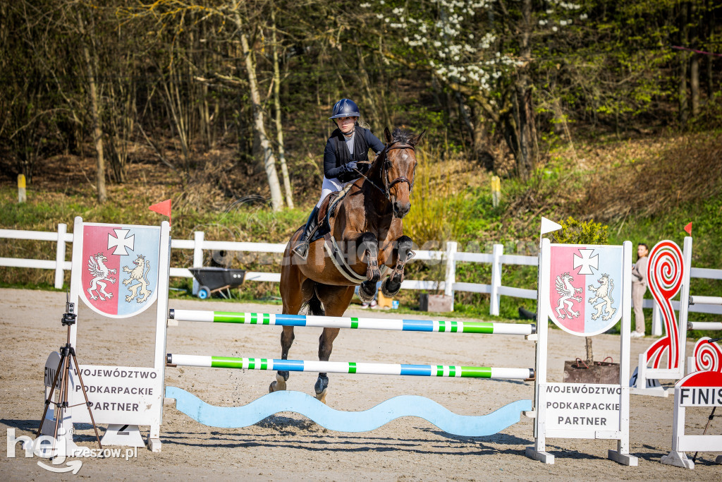 Międzynarodowe Zawody w Skokach przez Przeszkody