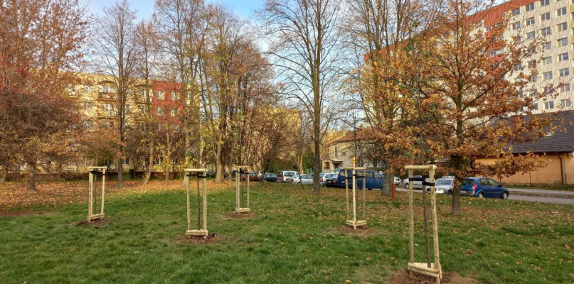 fot. Zarząd Zieleni Miejskiej w Rzeszowie