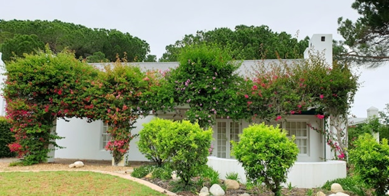 Projektowanie ogrodu - co powinien zawierać projekt?