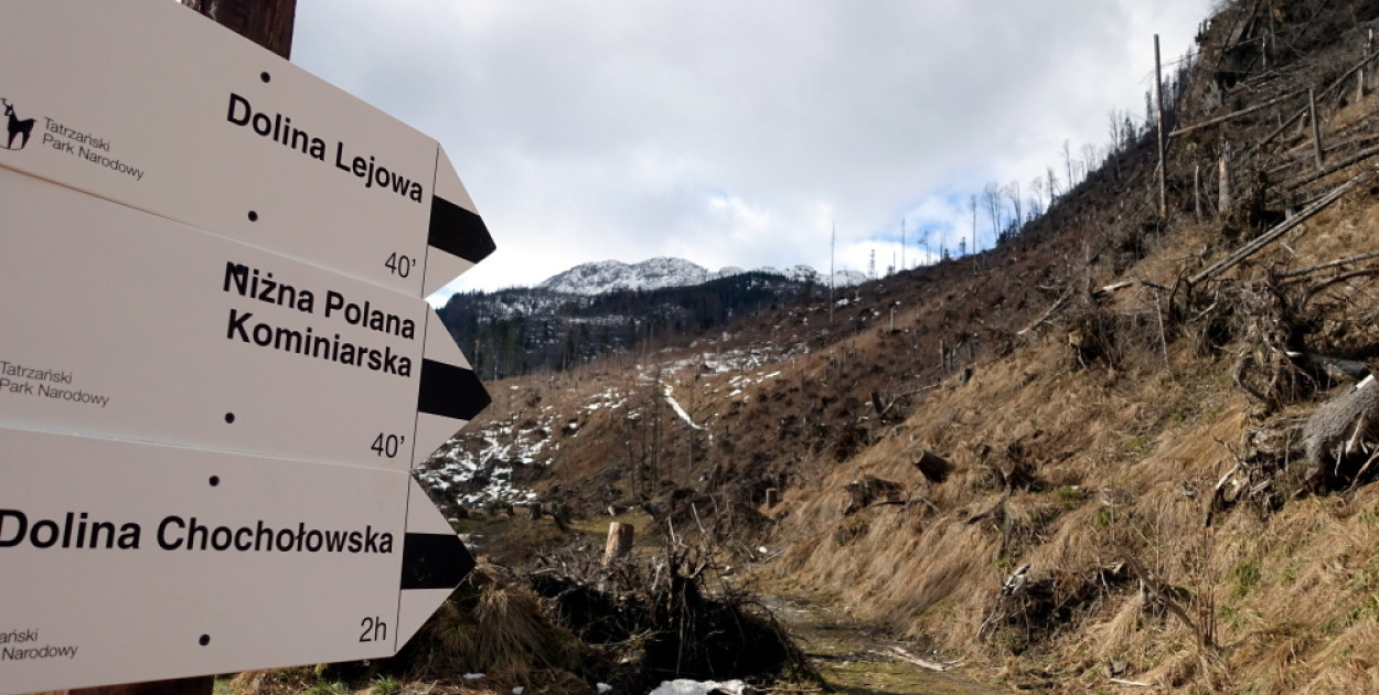Szlak turystyczny do kaplicy na Polanie Chochołowskiej zamknięty na miesiąc