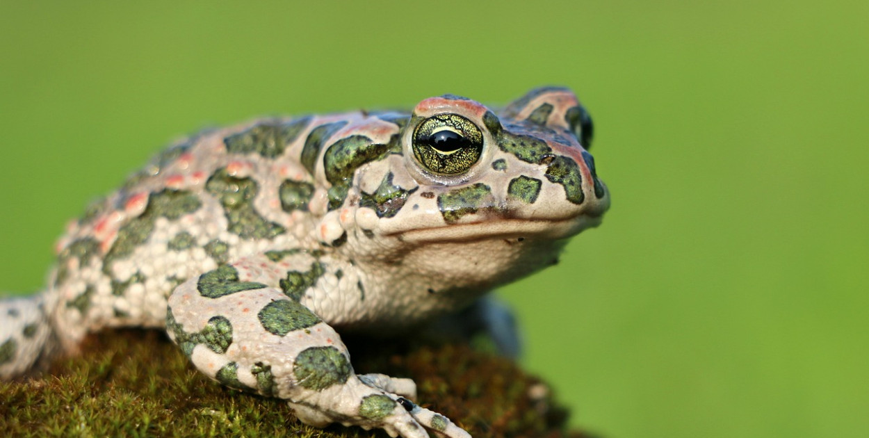 Zdjęcie poglądowe