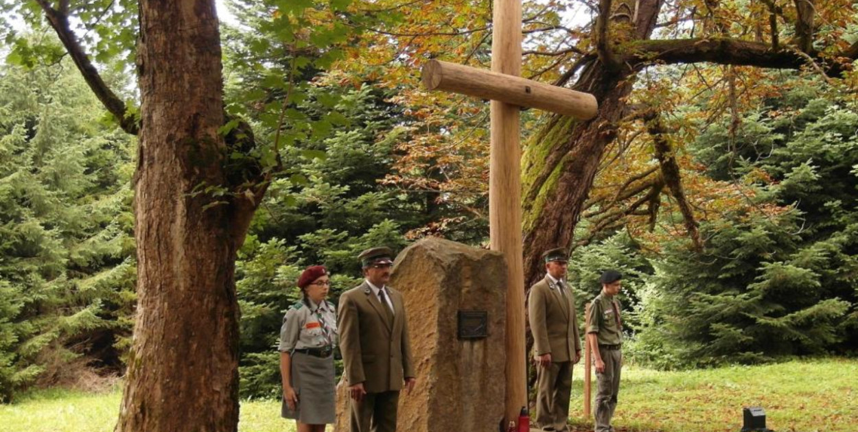 RDLP w Krośnie