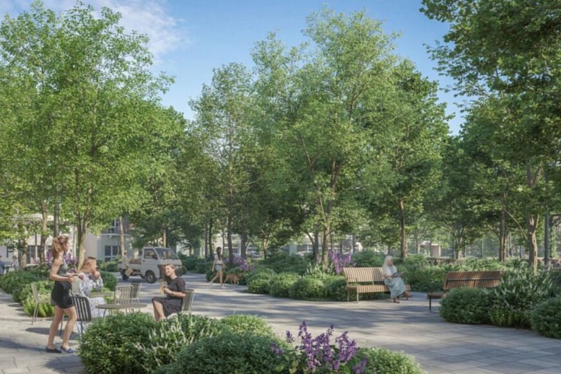 Koncepcja Rynku w Dębicy