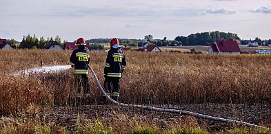 Tragiczny finał wypalania traw. Nie żyje 84-latek-20414