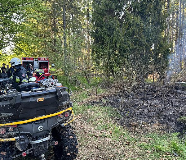 Strażacy przez 5 godzin gasili pożar torfowiska w rezerwacie przyrody-25618