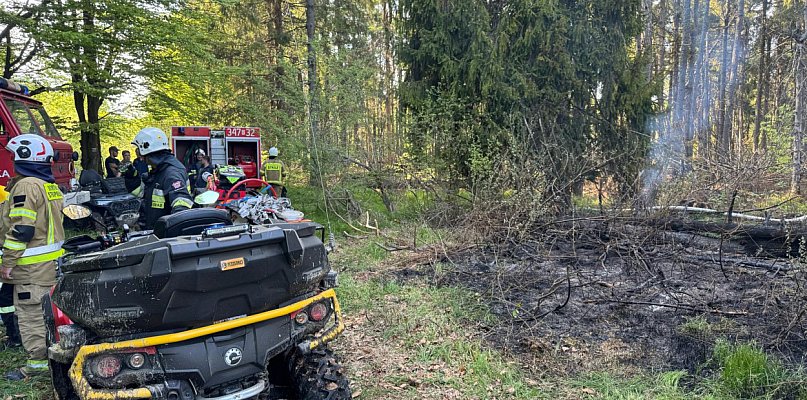 Strażacy przez 5 godzin gasili pożar torfowiska w rezerwacie przyrody - 25618