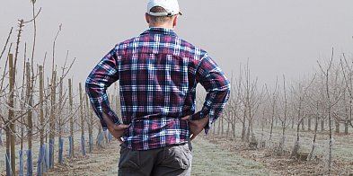 Ostrzeżenie pierwszego stopnia dla miejscowości Rzeszów-26076