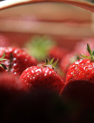 Krajowe truskawki już w sprzedaży, ale są drogie-26071