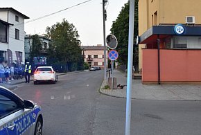 11-latek hulajnogą wjechał wprost pod toyotę-26796