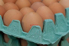 Salmonella na jajach znanej marki. Nie jedz, jeśli masz je w lodówce!-26955
