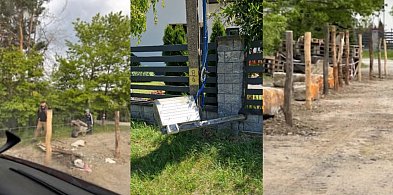Konflikt o Tropikanę w Mielcu: garstka mieszkańców kontra tysiące obywateli-27150