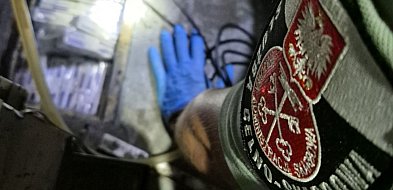 Tysiące papierosów w autokarowej skrytce, pestycydy w bagażu-27373