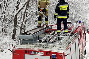 Zima w Bieszczadach: trudne warunki-451