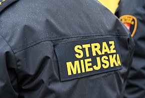 Zapuka strażnik, zapłacisz karę. Ruszyły kontrole w całej Polsce-29335