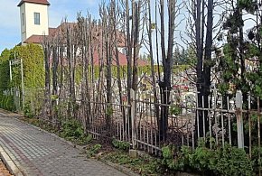 Pożar na cmentarzu. Szybka akcja straży-29756