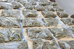 Przechwycili 21 kg narkotyków! Dwie osoby zatrzymane-29909