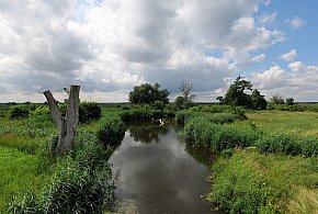 Co dalej z nowym parkiem narodowym? Minister klimatu zdradza plan po wecie-29978