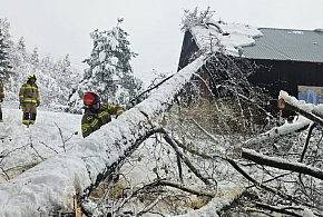 Podkarpackie: po ataku zimy ponad 1 tys. interwencji strażaków-30204