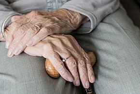 Te osoby dostaną dwie emerytury w grudniu. ZUS przesuwa przelewy-30277