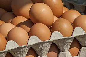 Salmonella wykryta w jajach! GIS wydał pilne ostrzeżenie-30771