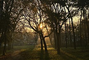 Nadchodzi najkrótszy dzień w 2025 roku. Sprawdź, kiedy przypadnie-30869