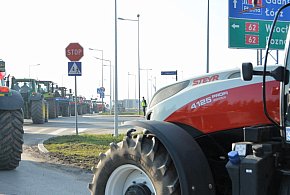 Rolnicy zapowiadają protest w całym kraju. Skala może zaskoczyć-31008