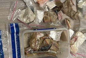 Policjanci zabezpieczyli blisko pół tony narkotyków-31309