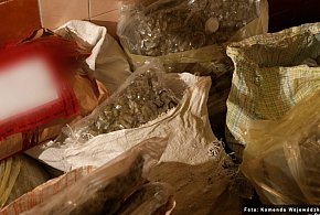 Policjanci przejęli ponad 60 kilogramów narkotyków