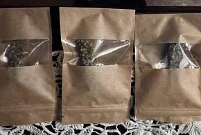 Policjanci przejęli ponad 20 kilogramów narkotyków